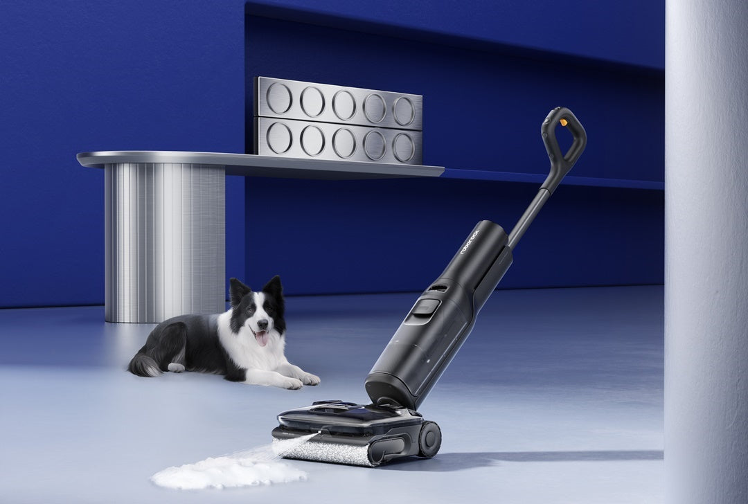 Roborock F25 ACE Pro