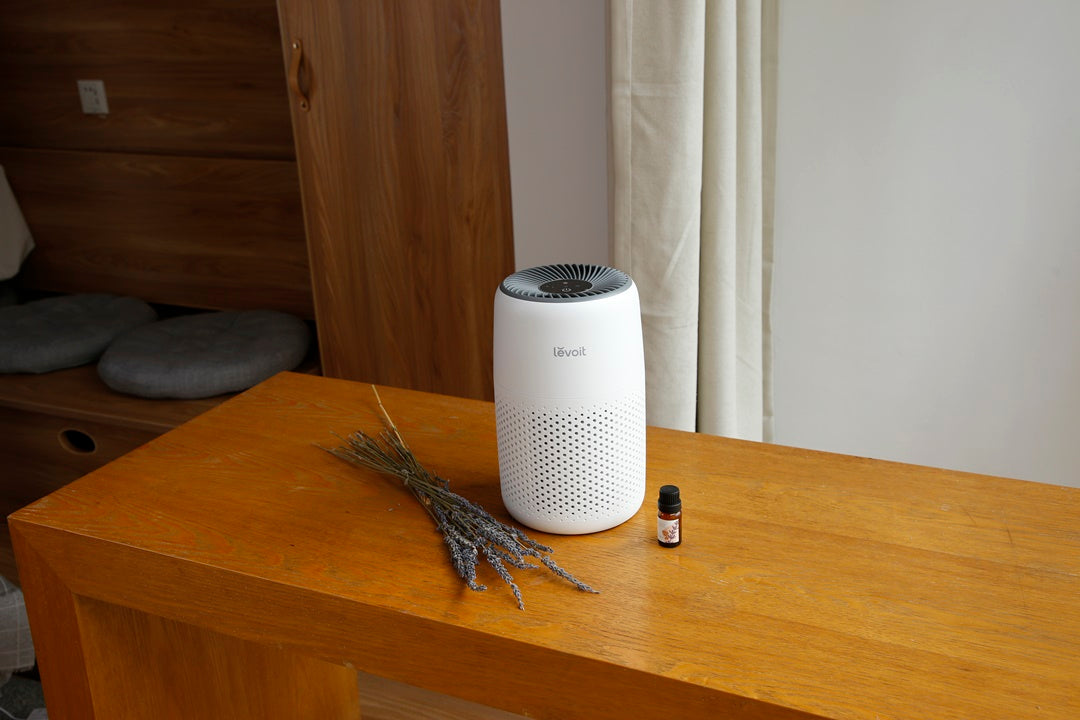 Bạn có thể đặt máy lọc không khí để giảm bụi mịn và vi khuẩn