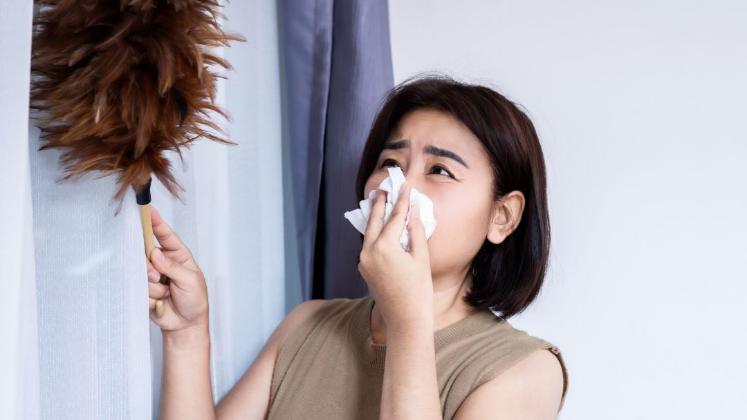 dị ứng bụi bẩn