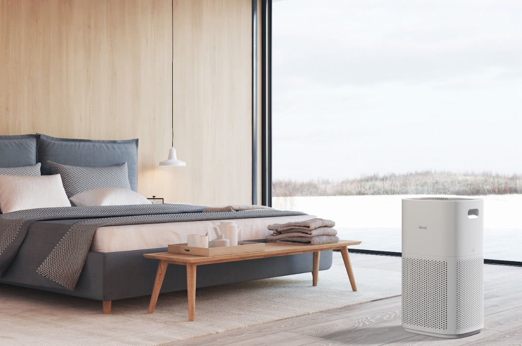 dị ứng bụi bẩn