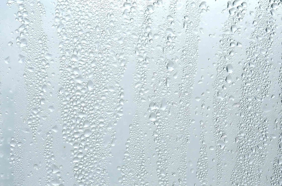 Nồm ẩm tạo điều kiện để vi khuẩn và nấm mốc phát triển mạnh (Nguồn ảnh: Internet)