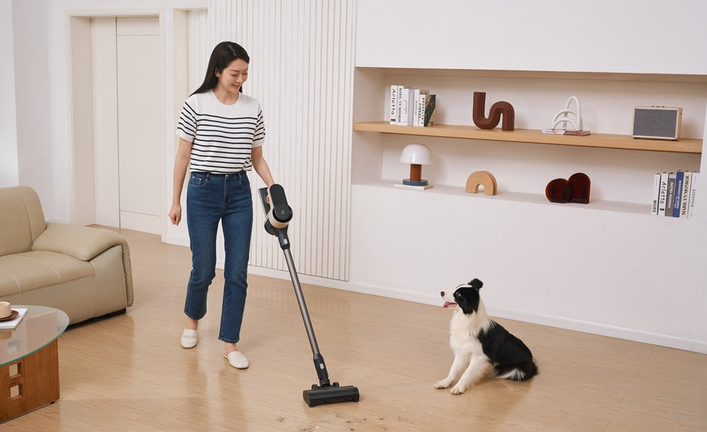 Máy giúp đánh bay bụi bẩn và lông thú cưng