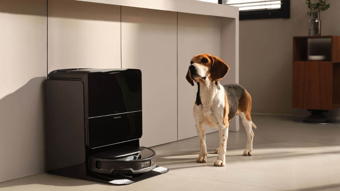 robot lau cầu thang