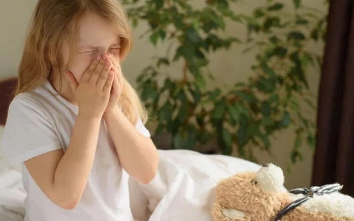 dị ứng bụi bẩn